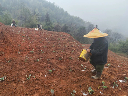 凯发k8一触即发股份公司春肥送暖助春耕