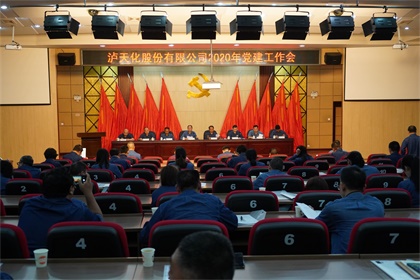 凯发k8一触即发股份公司召开2020年党建工作会